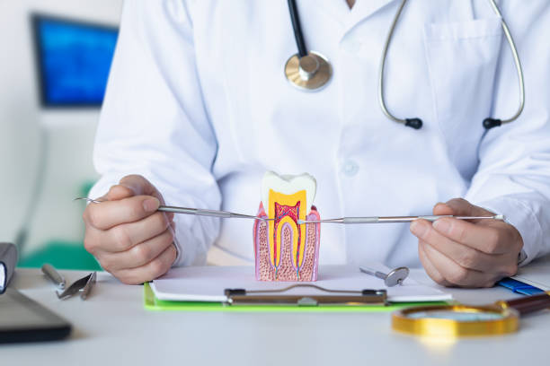 Best Dentist for Tooth Abscess  in Lakes East, CT